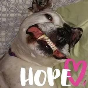 Meet your Posher, Lally sue